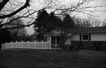 Hippo (2023) download