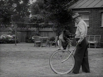 Hollywood Scout (1945) download