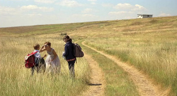 Home (2008) download