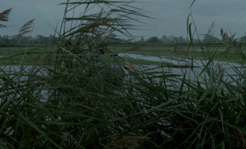 Horse (1970) download