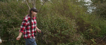 Horse Healing (2025) download