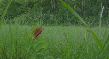 House on Eden (2025) download