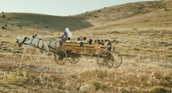 Hükümet Kadin 2 (2013) download