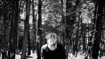 Hundreds of Beavers (2022) download