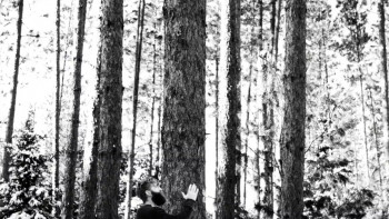 Hundreds of Beavers (2022) download