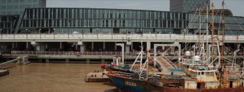 Hunt the Wicked (2024) download