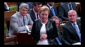 Hunting in Packs (2022) download