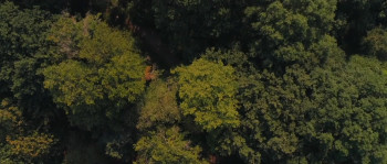 I AM Norman (2021) download