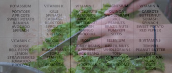 I Could Never Go Vegan (2024) download