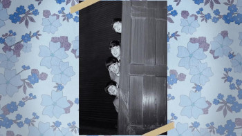 I Used to Be Normal: A Boyband Fangirl Story (2018) download