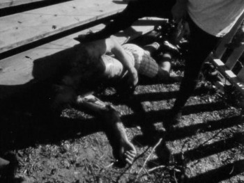 I Was a Teenage Serial Killer (1993) download