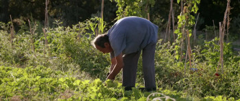 Icare, ou la mesure des choses (2021) download