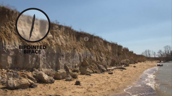 Ice Bridge: The Impossible Journey (2018) download