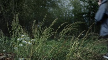 V.C. Andrews' Dollanganger Saga If There Be Thorns (2015) download