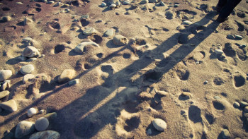 In Montauk (2012) download