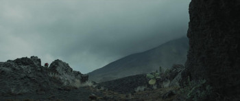 In the Fire (2023) download