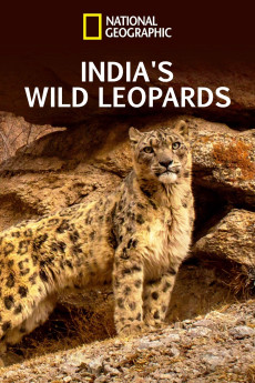 India's Wild Leopards (2020) download