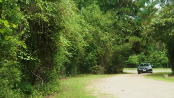 Induced (2022) download