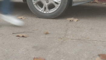 Induced 2 (2024) download