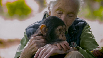 Undercover: Inside the Bunker (2025) download