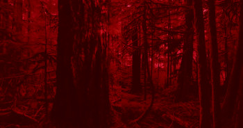 Inherit the Witch (2024) download