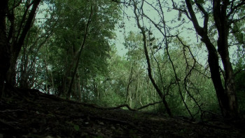 Intrusion (2012) download