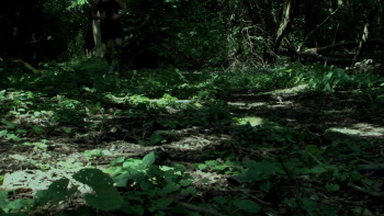 Intrusion (2012) download