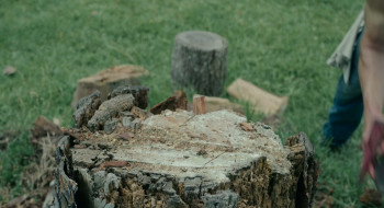 iPossessed (2025) download