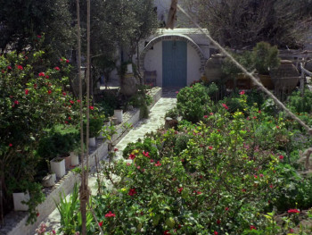 Island of Death (1976) download