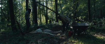 It Comes at Night (2017) download