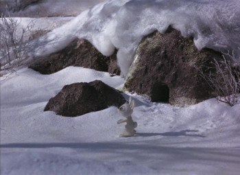 Jack Frost (1979) download