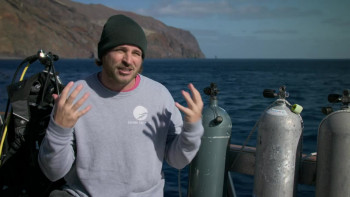 Jaws vs Kraken (2022) download