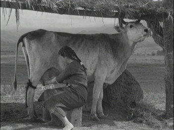 Jeca Tatu (1959) download