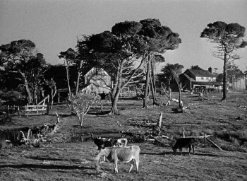 Johnny Belinda (1948) download