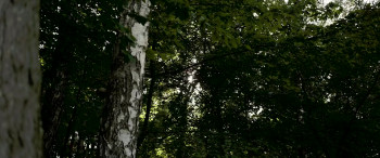 Just Girls (2021) download