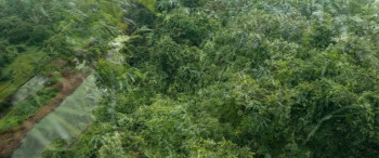 Kamasutra 3D (2013) download