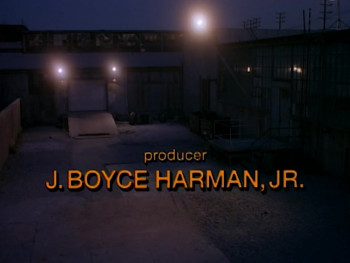 In the Line of Duty: Kidnapped (1995) download