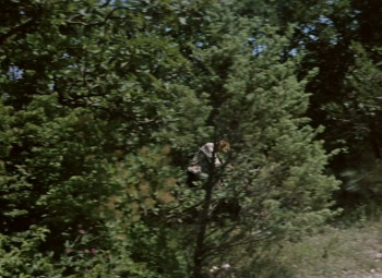 Kidnapping, Caucasian Style (1967) download