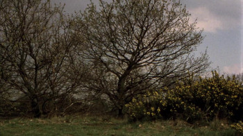 Killer's Moon (1978) download