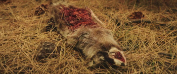 KillHer (2022) download