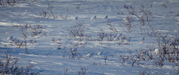 Kina & Yuk (2023) download