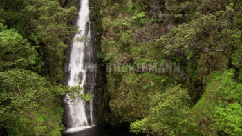 King of the Lost World (2005) download