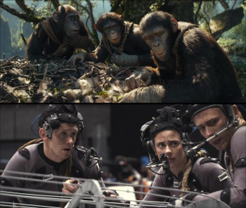 Kingdom of the Planet of the Apes (2024) download