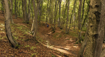 Kontinental '25 (2025) download