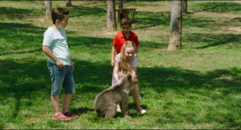 Konusan Hayvanlar (2019) download