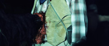 Krampus Unleashed (2016) download