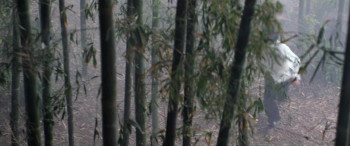 Kung Fu Games (2024) download