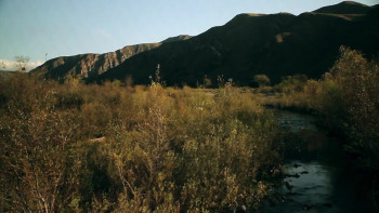 Kunta Kinteh Island (2012) download