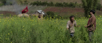 Kupu-Kupu Kertas (2024) download