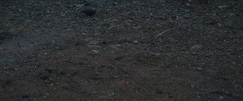 Kuttey (2023) download